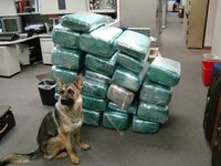 image_pot280.JPG