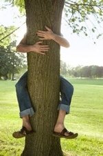 ww_gi_hug-tree.jpg