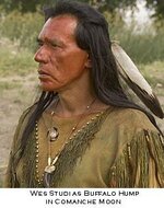 wes-studi-buffalo-hump-comanche-moon.jpg wes-studi-buffalo-hump-comanche-moon.jpg