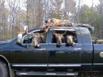 moosehunt.jpg