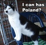 I can has Poland.jpg
