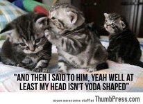 CATS-ARE-JERKS..jpg