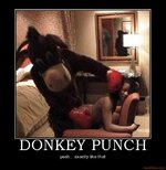 donkeypunch.jpg