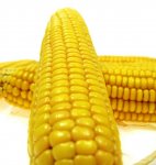corn.jpg