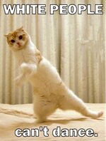 white_people_cant_dance_trollcat2.jpg