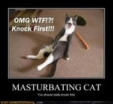 demotivational-posters-masturbating-cat.jpg