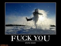 winter-blows-snow-cold-hate-demotivational-poster-1291651469.jpg