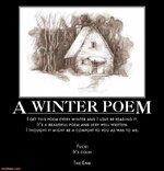 a-winter-poem-winter-cold-poetry-demotivational-posters-1294766274.jpg
