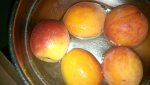 IMG_20150817_170942.jpg