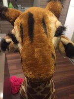 giraffe.jpg giraffe.jpg