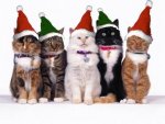 Funny-Christmas-Animated-Gif-12.jpg