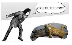 stop+bumping!.jpg