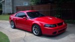 2004mustangcobra.jpg