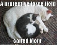 motherhood3.jpg