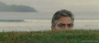 hide.jpg