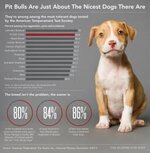 Pit-Bull-Temperament-Test.jpg