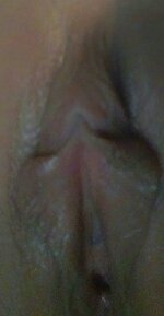 9540_bonus_1.jpg