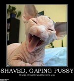 shaved-gaping-pussy-shaved-demotivational-posters-1362307452.jpg