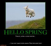 hello-spring-spring-lamb-roast-chops-cubby-demotivational-posters-1300717825.jpg