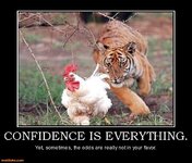 confidence-is-everything-tiger-chicken-demotivational-posters-1292031861.jpg