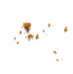 crumbs.jpg