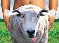 sexy sheep.jpg
