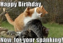 bday.jpg