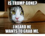 is-trump-gone-i-heard-he-wants-to-grab-me-5151658.jpg