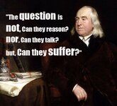 QUOTE-Bentham-500x456.jpg