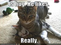 hug.jpg hug.jpg