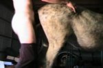 man_fucking_donkey.jpg