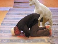 muslim-attack-goat.jpg muslim-attack-goat.jpg