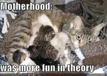 motherhood2.jpg