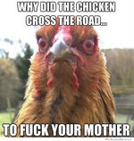 why-did-the-chicken-cross-the-road.jpg