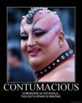 contumacious.jpg