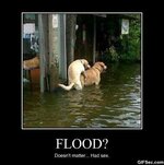 flood.jpg