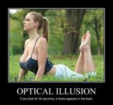 optical-illusion-forest.jpg
