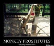 86961113-Monkey-business.jpg 86961113-Monkey-business.jpg