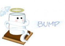 bump.jpg