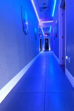 pleasure-parlour-05.jpg pleasure-parlour-05.jpg
