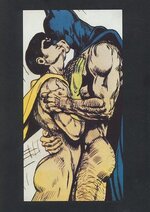 Batman-and-Robin-gay-4.jpg