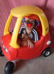 MUBT-ClownCar.jpg