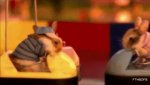 bumpercars.jpg