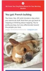 Screenshot_20180202-110347.jpg Screenshot_20180202-110347.jpg