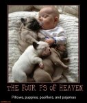 the-four-ps-heaven-pillows-puppies-pacifiers-and-pajamas-the-demotivational-posters-1384911918.jpg